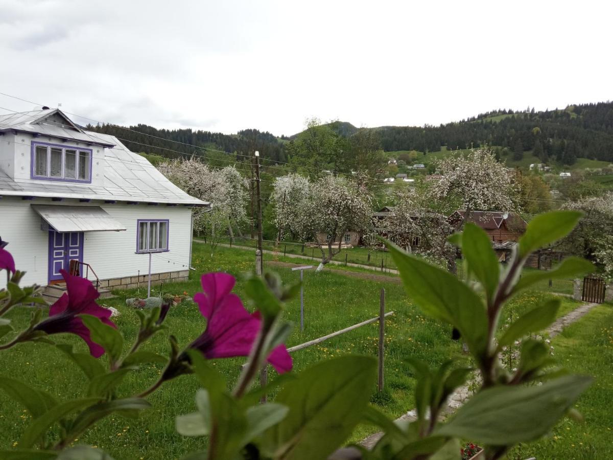 Pidkova Villa เวอร์คอฟเวอนา ภายนอก รูปภาพ