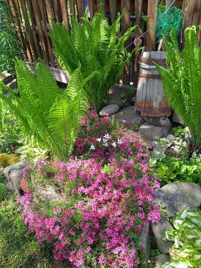 Pidkova Villa เวอร์คอฟเวอนา ภายนอก รูปภาพ