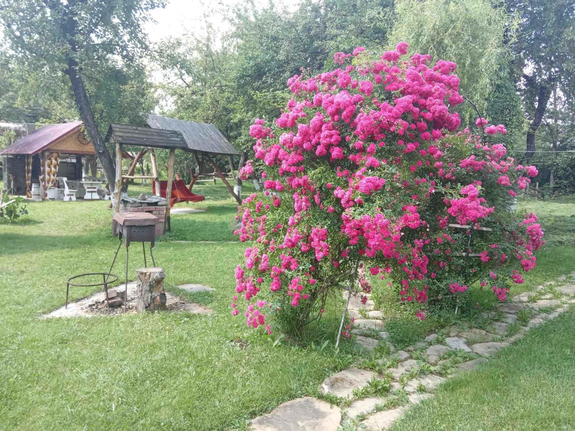Pidkova Villa เวอร์คอฟเวอนา ห้อง รูปภาพ